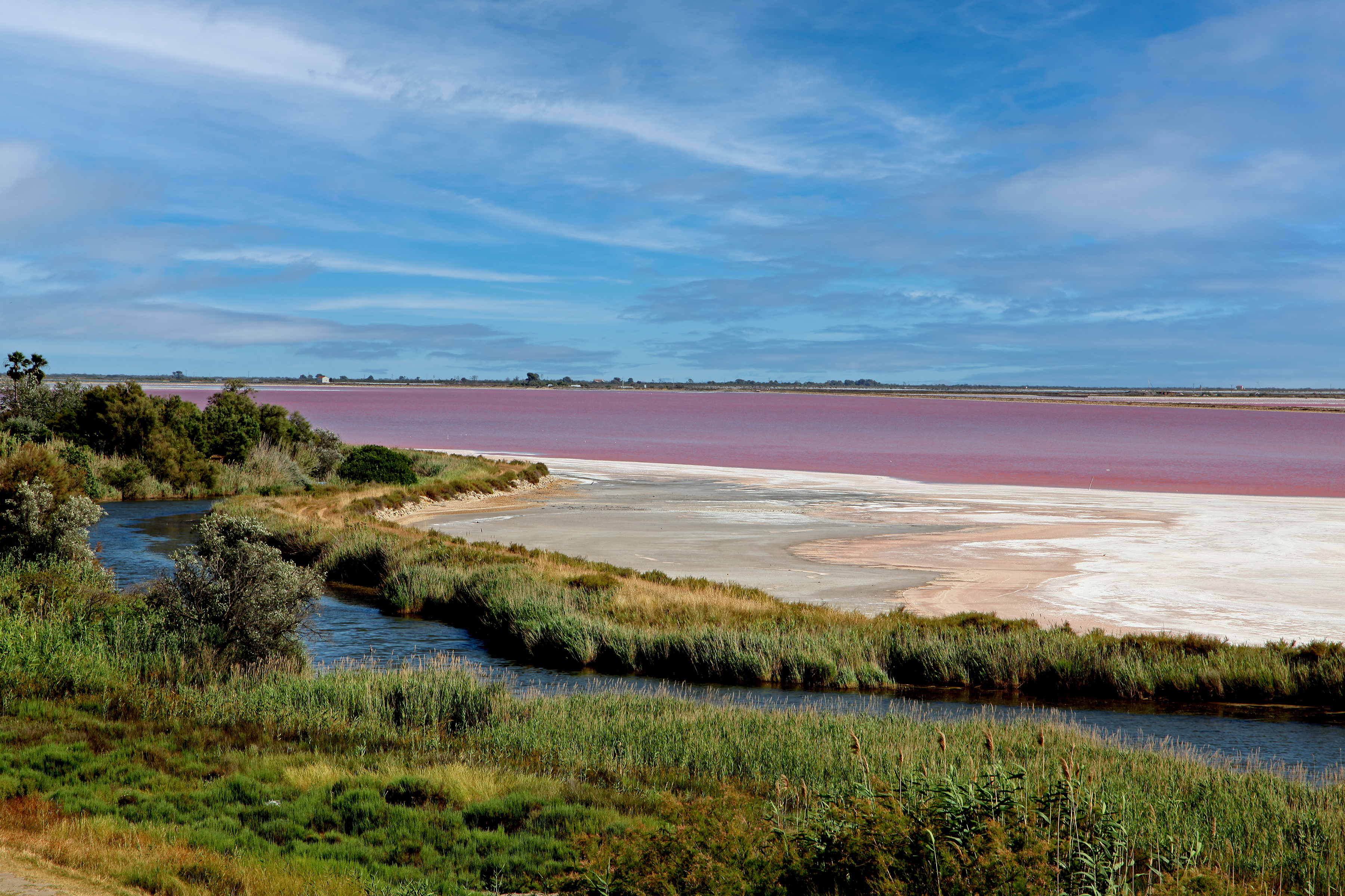 Salt marshes